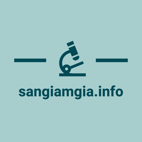 sangiamgia.info Image