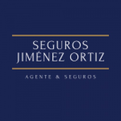 segurosjimenezortiz.com Image