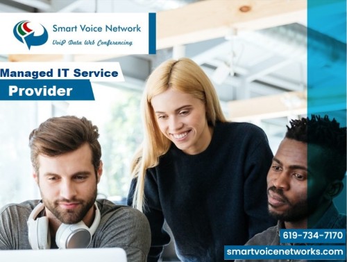 smartvoicenetworks.com Image