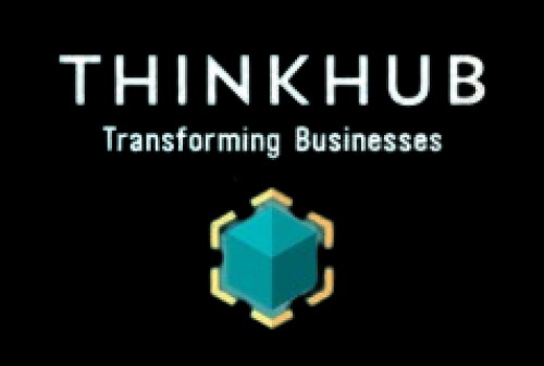 thinkhubindia.com Image