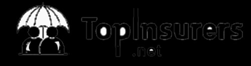 topinsurers.net Image