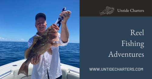 untidecharters.com Image