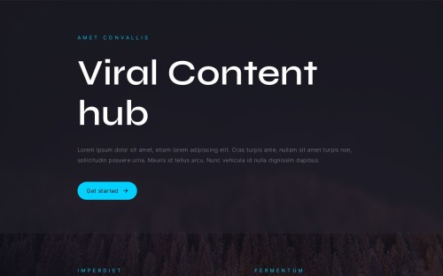 viralcontenthub.com Image