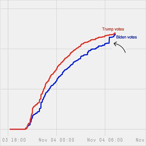 2020electionirregularities.com Image