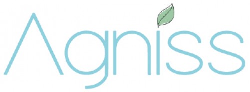 agniss.com Image