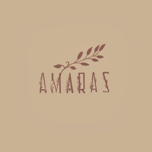 amaras-bookstore.com Image