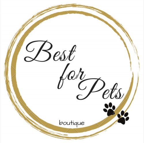 bestforpetsboutique.com Image