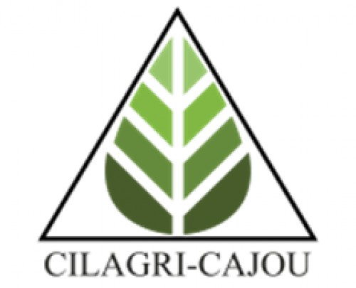 cilagri.com Image