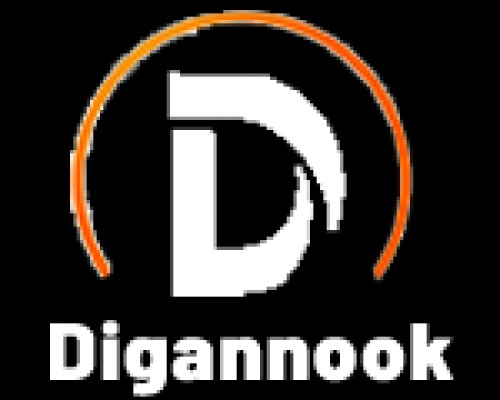 digannook.tech Image