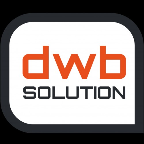 digitalwebbizsolution.com Image