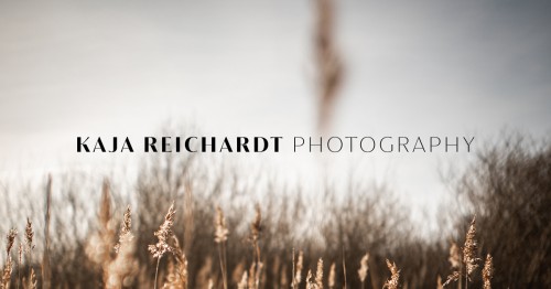 kajareichardt-photography.com Image