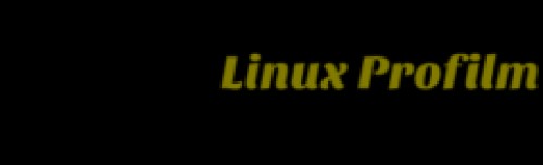 linuxprofilm.com Image