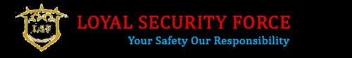 loyalsecurityservicespune.com Image