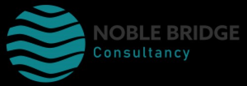 noblebridgeconsultancy.com Image