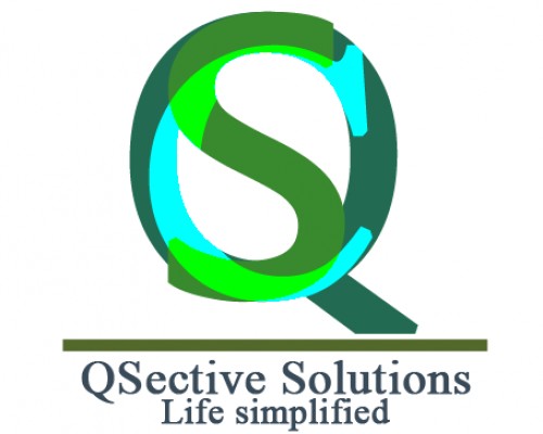 qsective.com Image