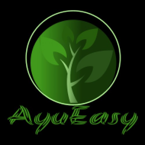 ayueasy.com Image