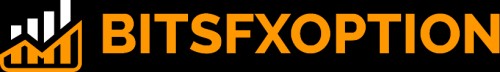 bitsfxoption.com Image