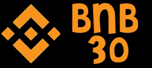 bnb30.net Image