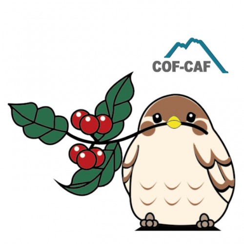 cof-caf.com Image