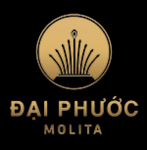 molita-binhduong.com Image