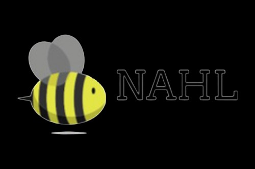 nahlbd.com Image