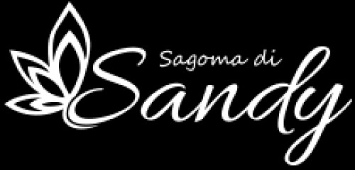 sagomadisandy.com Image