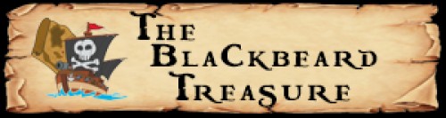 theblackbeardtreasure.com Image