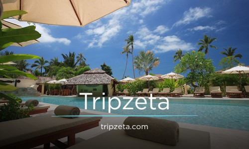 tripzeta.com Image