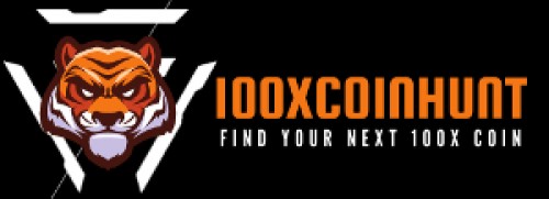 100xcoinhunt.com Image