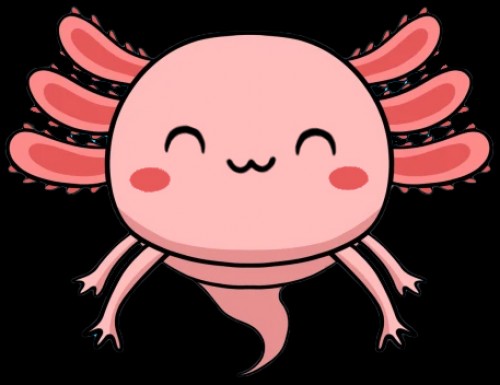 axolotl-finance.com Image