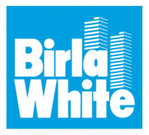 birlawhitenextbigstride.com Image