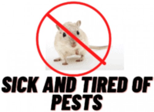 sickandtiredofpests.com Image