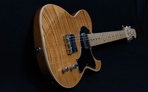 strijkerguitars.com Image