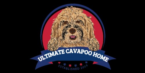 ultimatecavapoohome.com Image