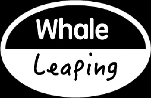 wleaping.net Image