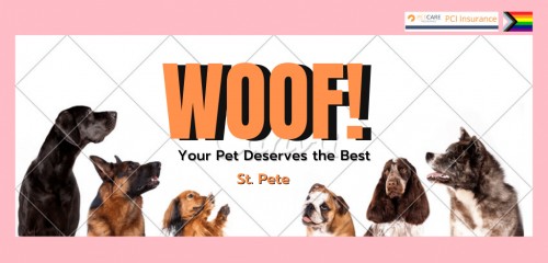 woofstpete.com Image