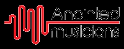 anointedmusicians.com Image