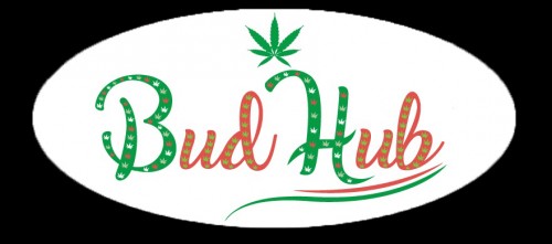 budhub1.com Image