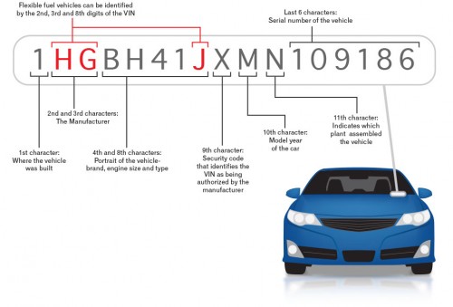 carsdetailcheck.com Image