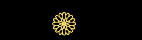 chattychrysanthemum.com Image