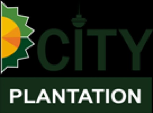 dcityplantation.com Image