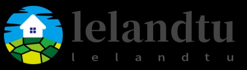 lelandtu.com Image