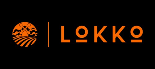 lokko.info Image