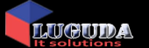 lugudaitsolutions.com Image