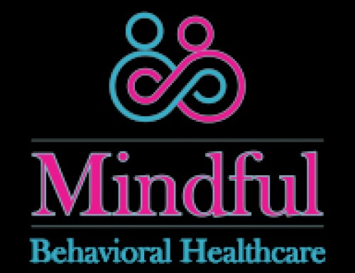 mindfulbehavioraltms.com Image