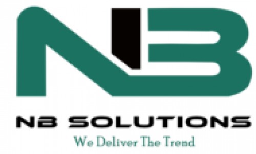 nbsolutionz.com Image