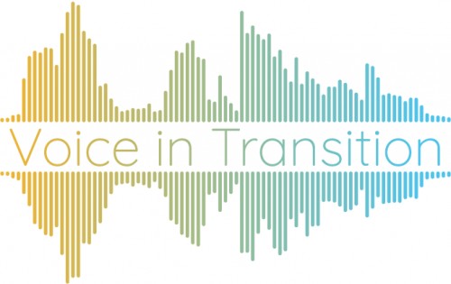 voiceintransition.com Image