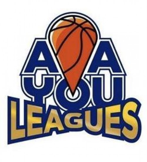 aayouleagues.com Image