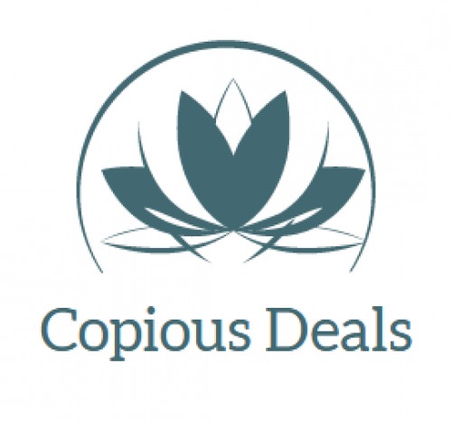 copiousdeals.com Image