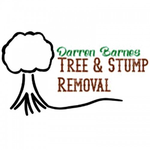 darrenbarnestreeandstumpremoval.com Image